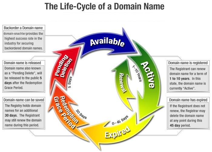 domain life cycle